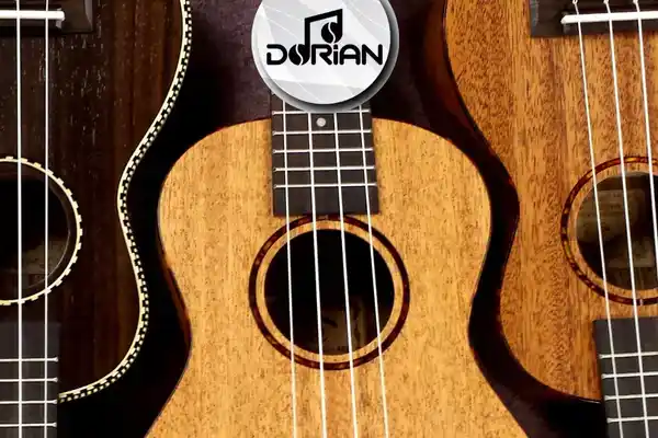 Ukulele Kursu