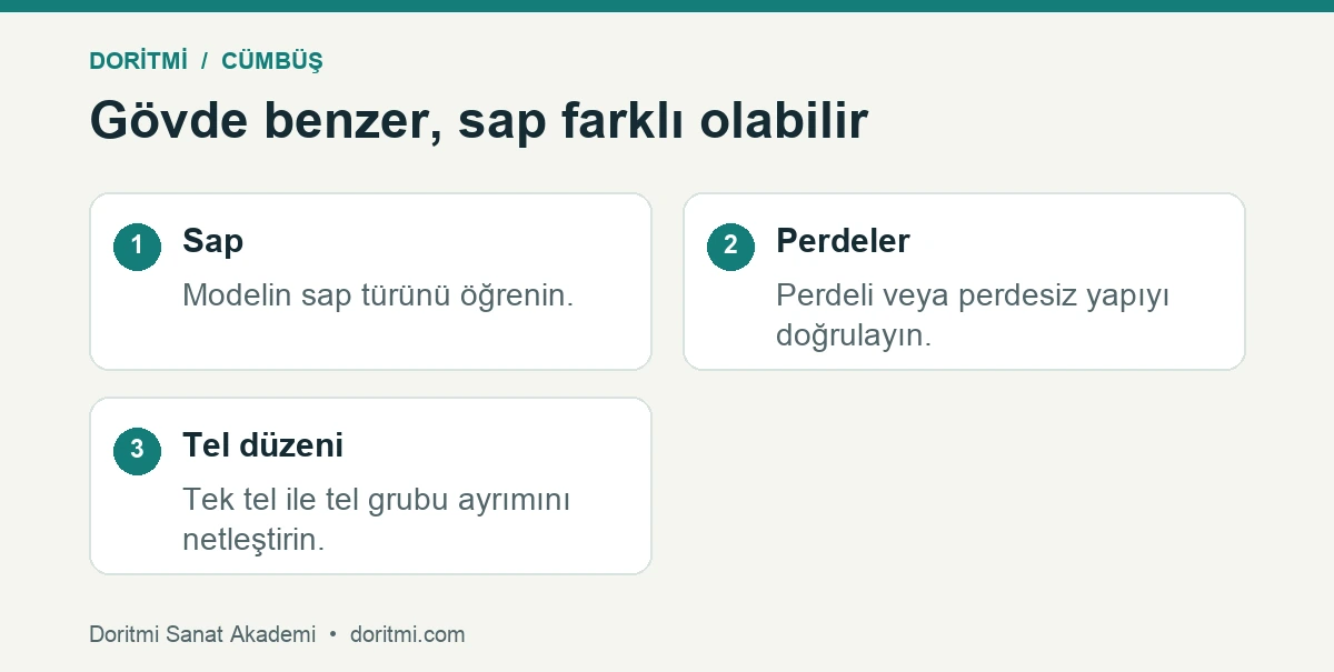 Cümbüş model seçimi: cümbüş modellerinde sap, perde ve tel düzenini karşılaştıran şema