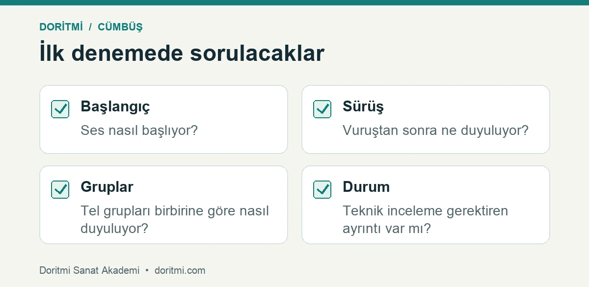 Cümbüş denemesinde ses başlangıcı, sürüş, tel grupları ve çalgı durumu