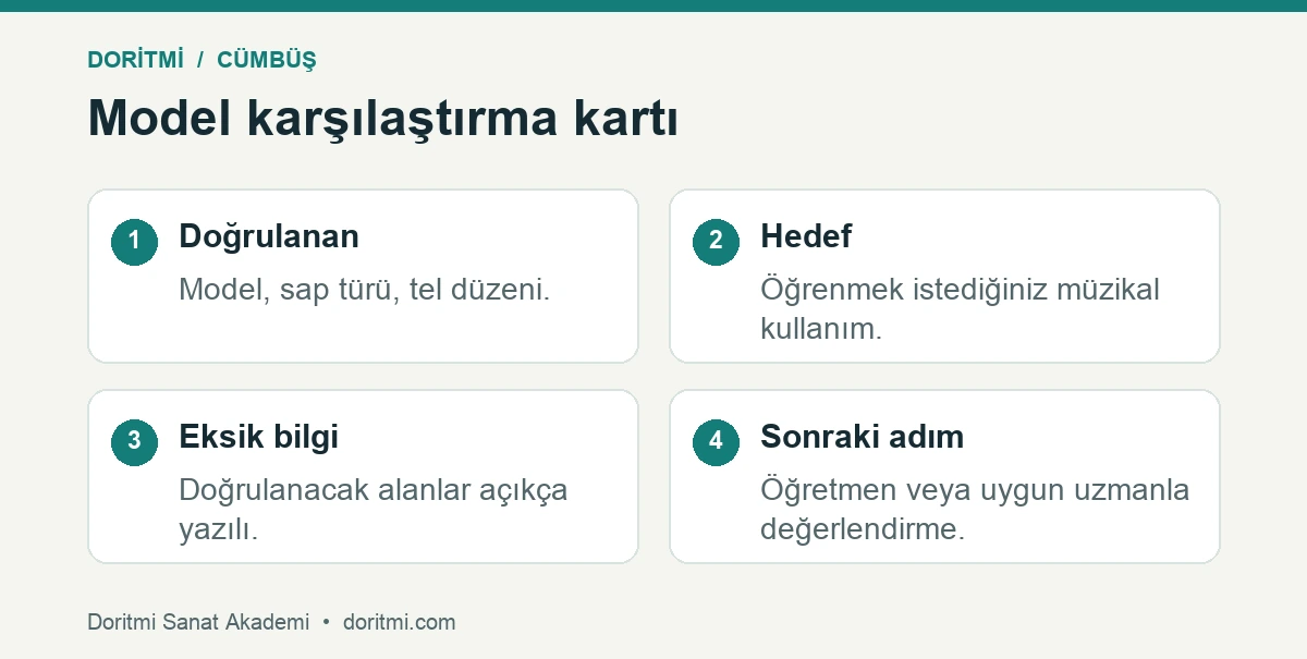 Cümbüş seçimi için doğrulanan bilgi, hedef ve eksik bilgi kartı