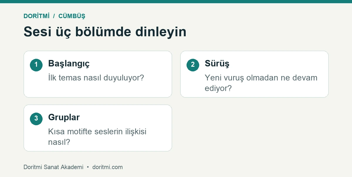 Cümbüş ses dengesi: cümbüş sesinin başlangıcı, sürüşü ve tel grupları dengesi