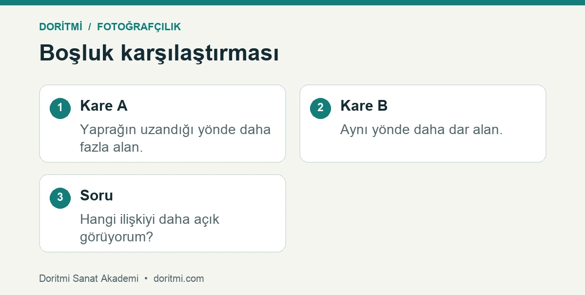 Telefon fotoğrafında aynı konu çevresinde iki boşluk örneği