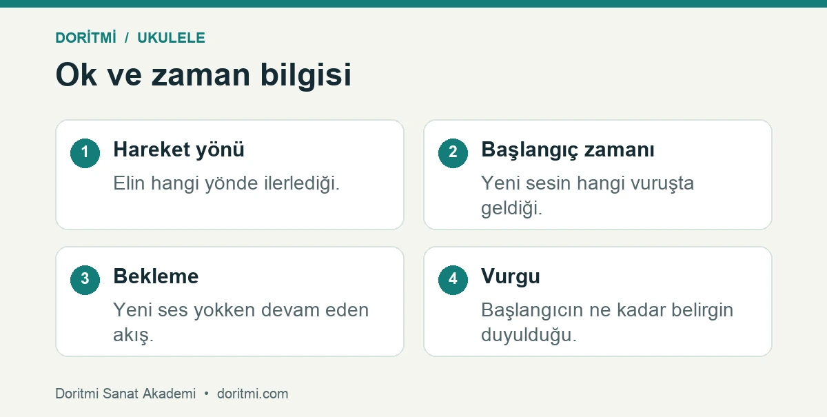 Ukulele eşliğinde hareket, zaman, bekleme ve vurguyu ayırma